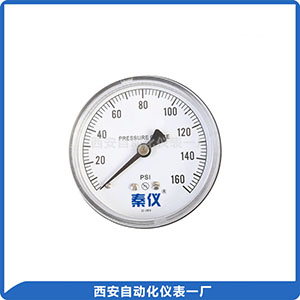 無鉛普通壓力表