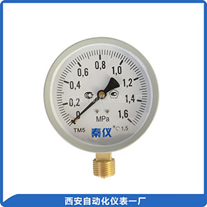 方經(jīng)濟(jì)型普通壓力表