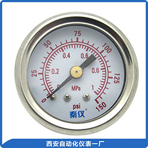 耐震壓力表--軸向
