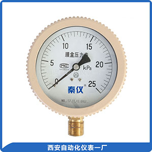 YE-100、YE-150膜盒壓力表
