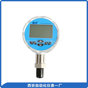 DP385精密數(shù)字壓力表