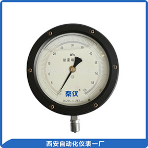 抗震精密壓力表