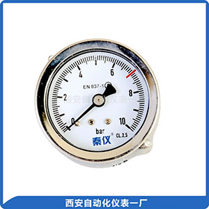 壓力表--皮管接頭軸向帶環(huán)形支架安裝