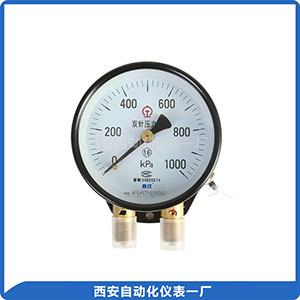 YZS-102 雙針壓力表
