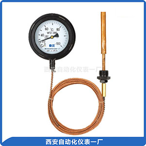 WTZ、WTQ 系列壓力式溫度計(jì)