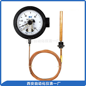WTZ、WTQ 電接點(diǎn)壓力式指示溫度計(jì)