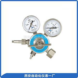 特殊氣體減壓器