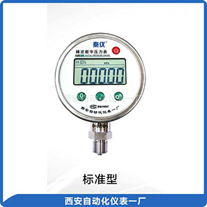 DP-100數(shù)字壓力表